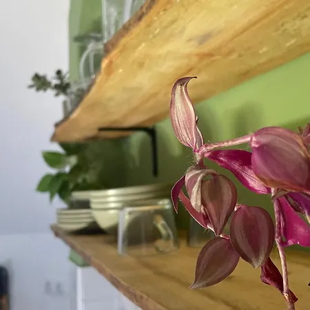 Apartmán Sunrise-sunset Amazing Seaviews Canteras